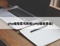 php编程菜鸟教程(php编程基础)